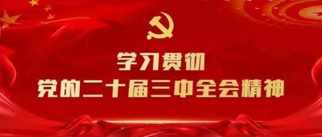 学习会议精神，贯彻落实工作 --川勘天晟源公司党支部召开主题党员大会